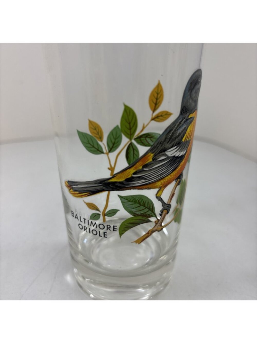 “Baltimore Oriole” Vintage 12oz Flat Tumbler By West Virginia Glass Specialty - Picture 2 of 6